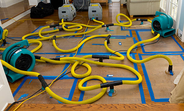Professional Structural Drying And Dehumidification technician working in Waldo, OH